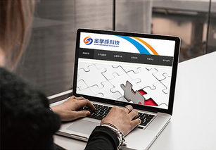 智慧互聯，專業信賴——金掌柜電子科技公司LOGO設計方案