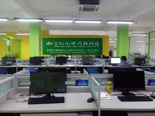 桂林三只小豬網(wǎng)絡(luò)科技 以匠心技術(shù)，賦能網(wǎng)絡(luò)技術(shù)服務(wù)新高度
